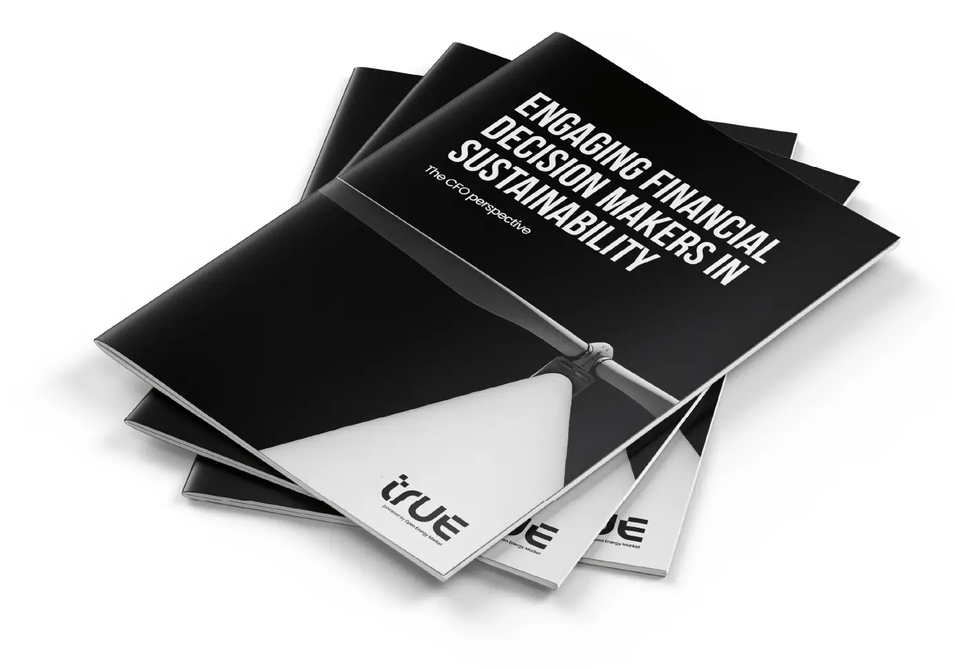 CFO_Report_Sustainability_Mockup