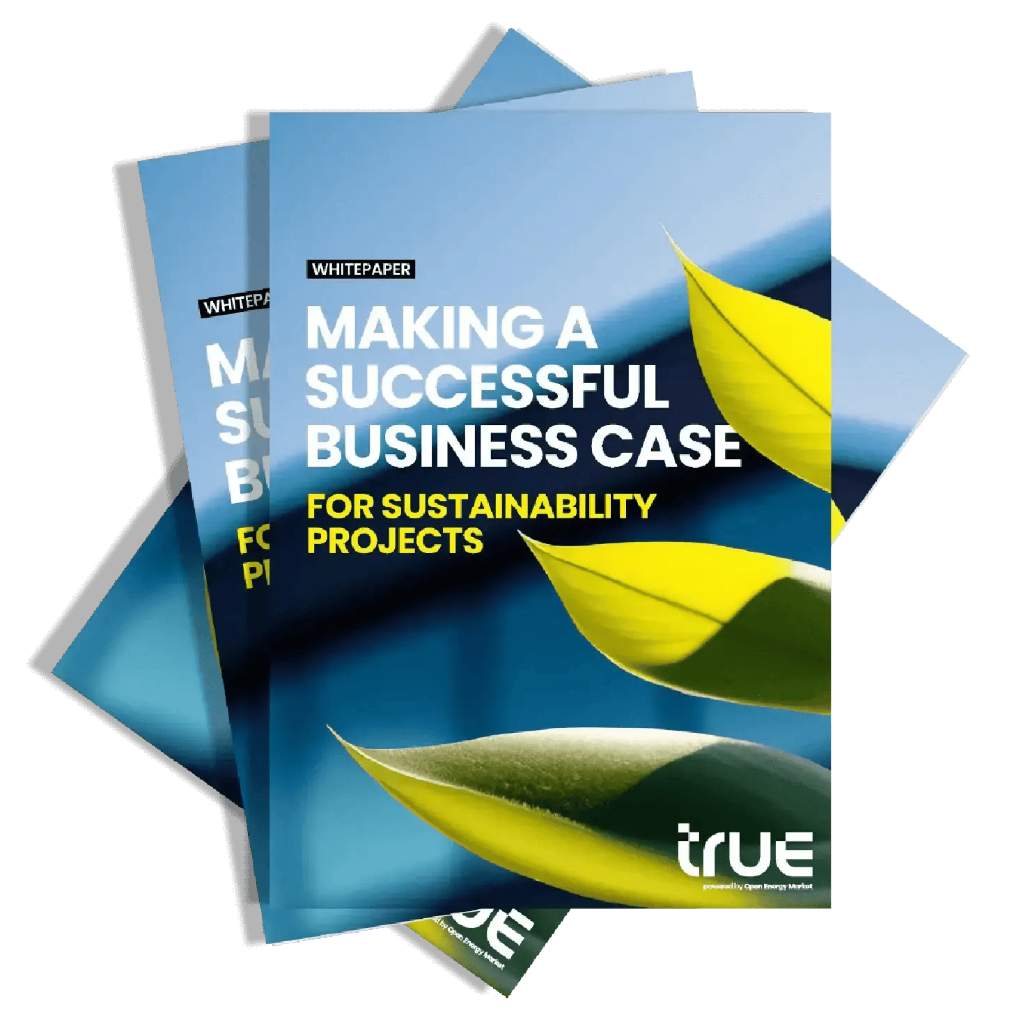 Succesful_Business_Case_Mockup