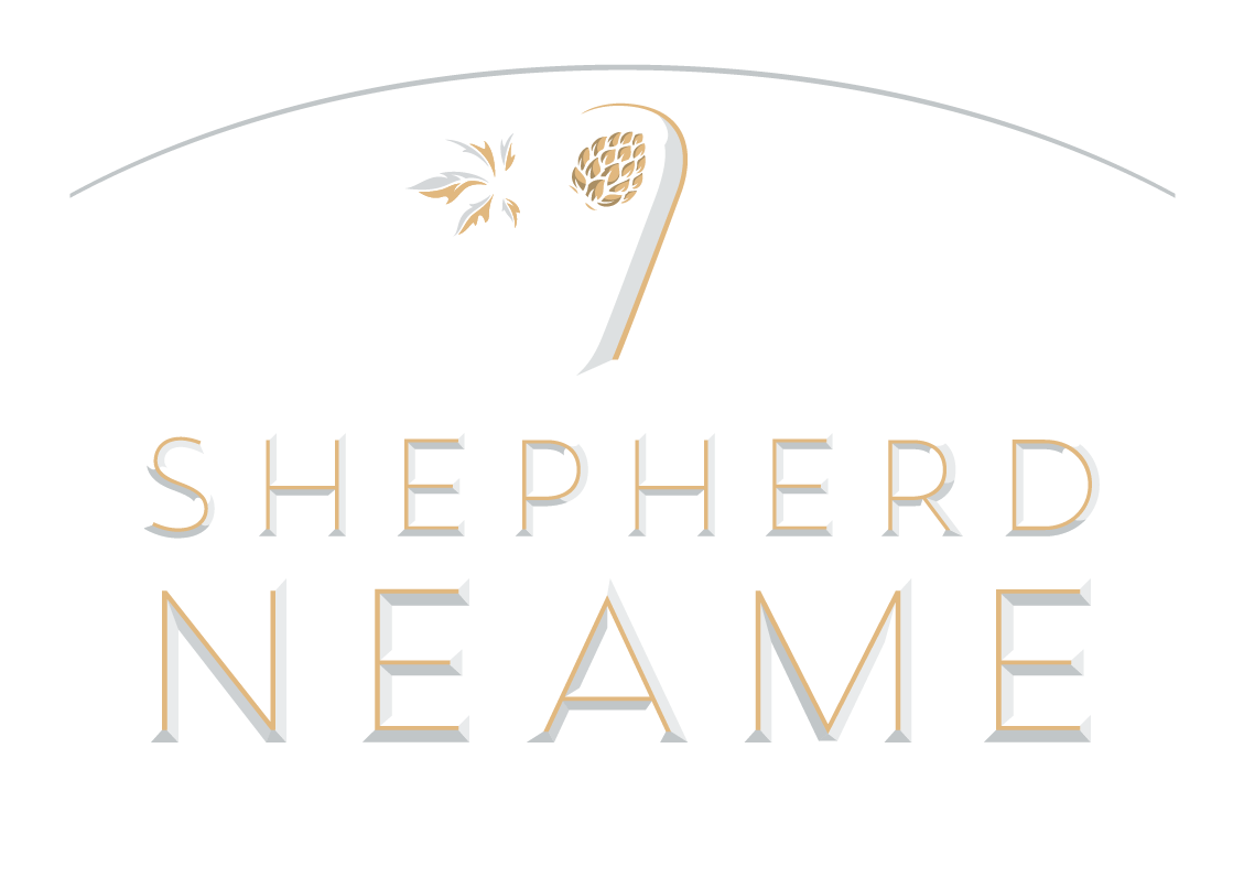 SN-PRIMARY-NEG-RGB