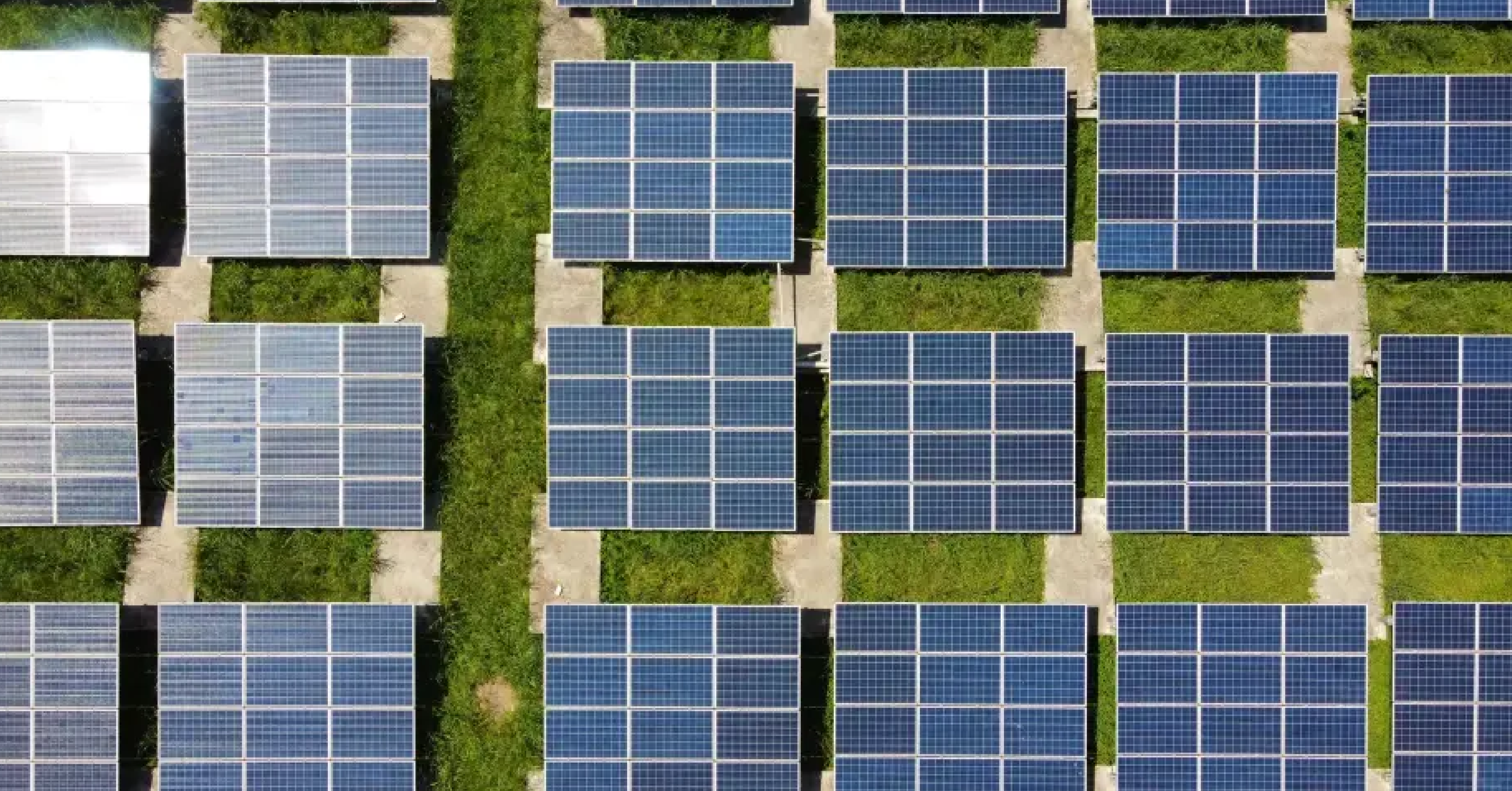 Elite Business - Navigating the detour on the road to net zero