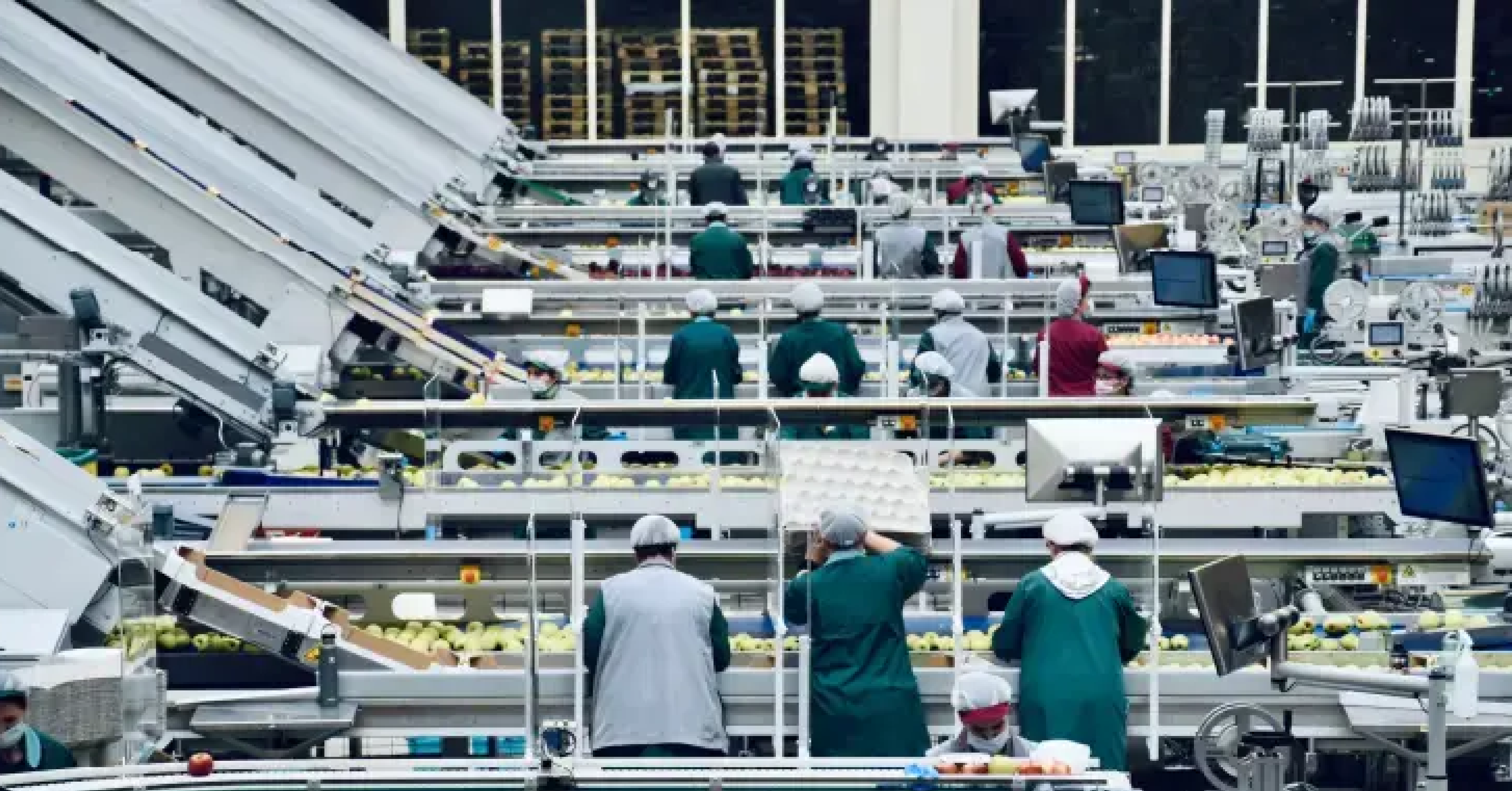Net Zero & Sustainable Food Production – A Pipe Dream?