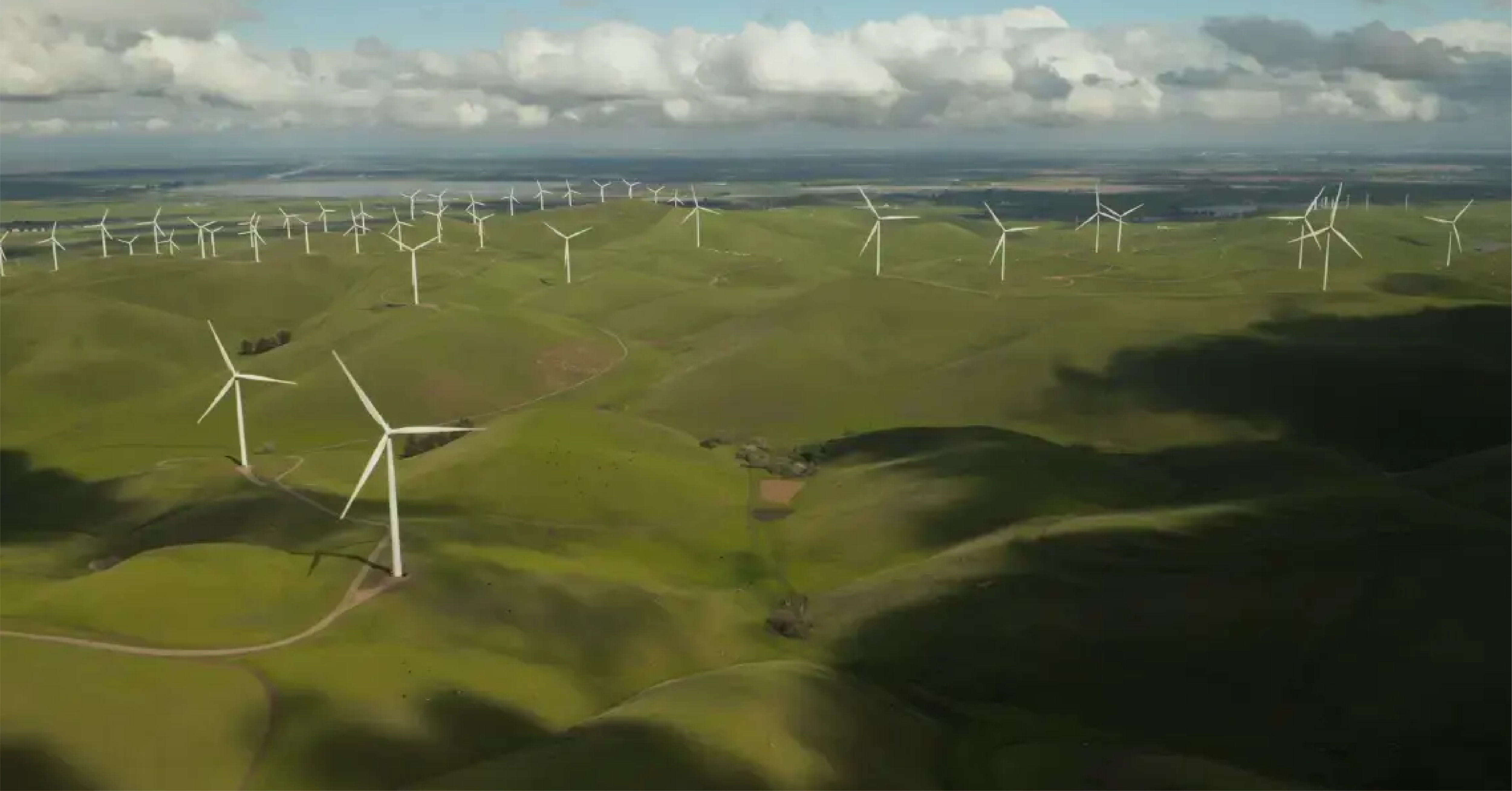 Greenwashing Gets Legal