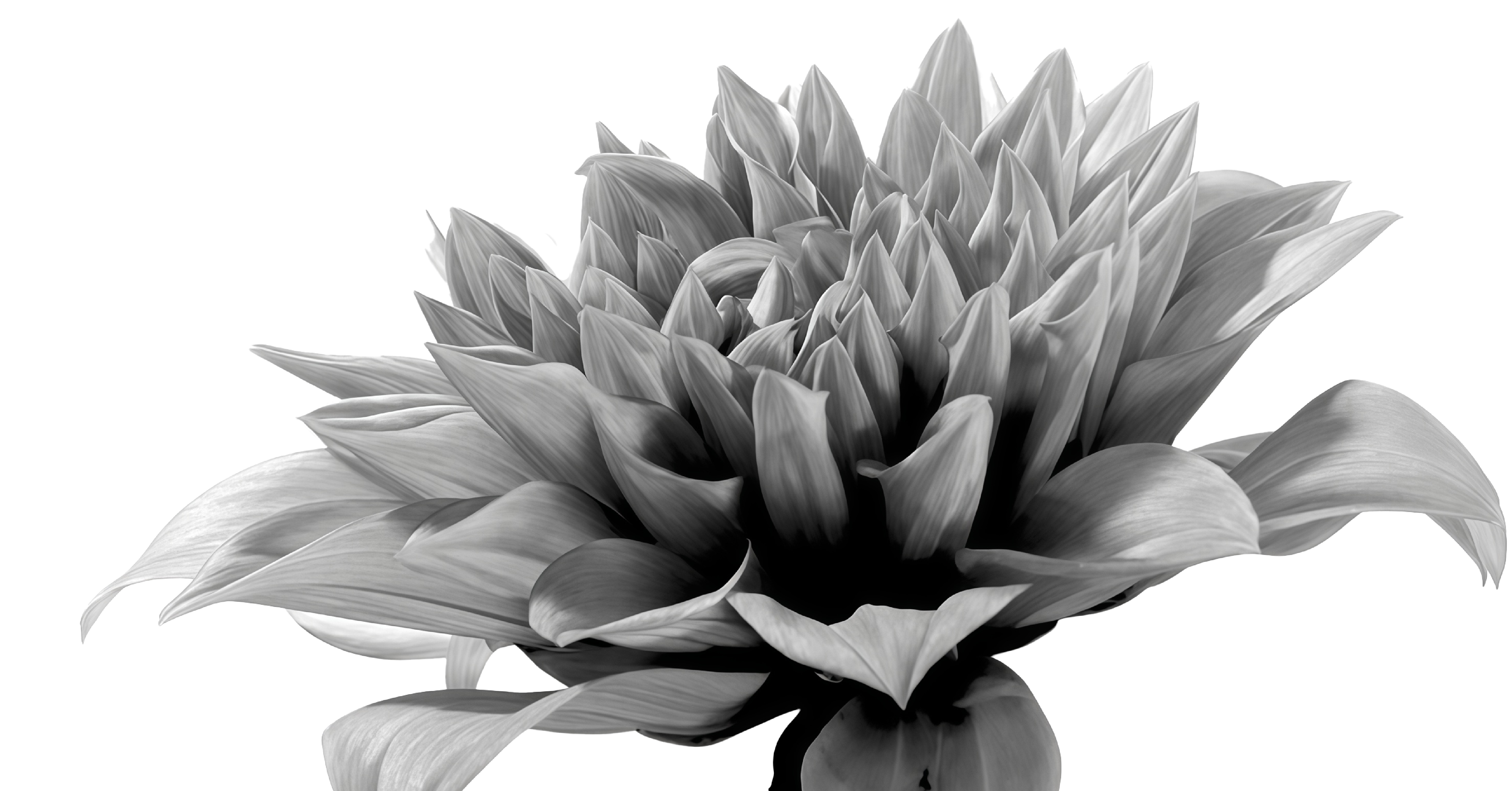 Sustainability Doesn’t Have to Be Expensive. It Can Fund Itself.